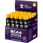 БЦАА НПО Спортивные Технологии BCAA 2500 25мл