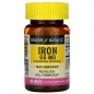  Mason Natural Iron  65  100 