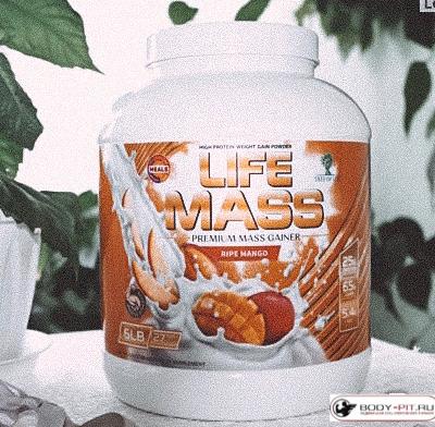 Гейнер Tree of life LIFE MASS 2700 г